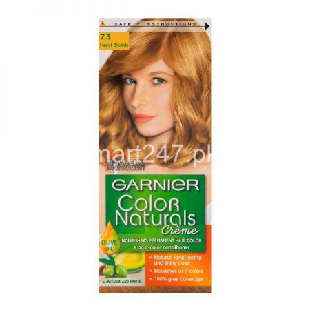 Garnier Hair Colour Hazel Blonde 7.3