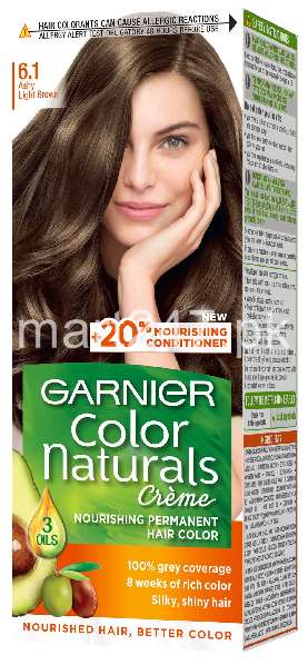 Garnier Hair Colour Dark Ash Blonde 6.1