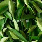 Curry Leaves (Curry Patta) 1 Bunch