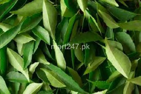 Curry Leaves (Curry Patta) 1 Bunch